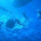 01- Snorkeling derivant dans la passe de Tumakohua 